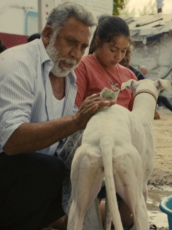 Ciudad sin sueño