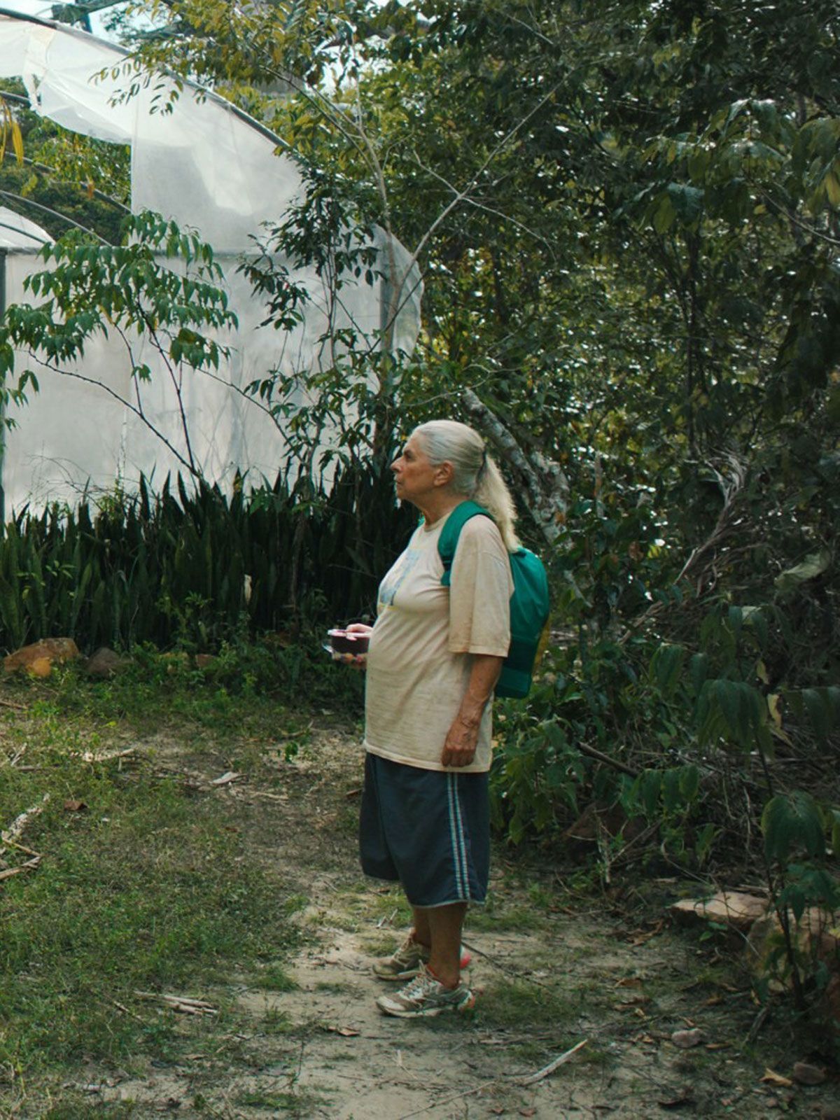 Les Voyages de Tereza